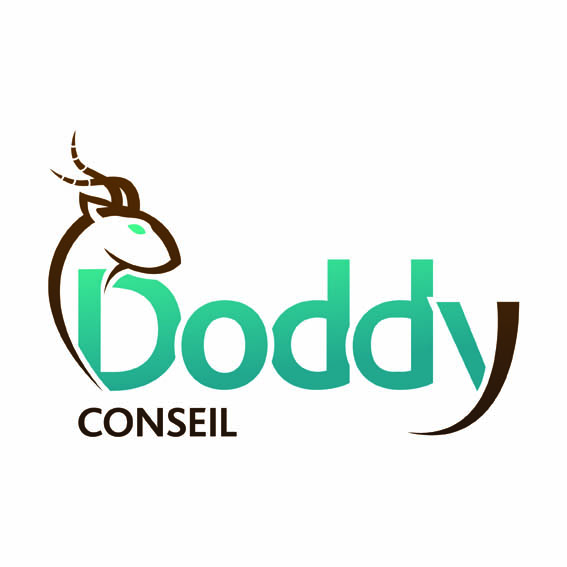Logo Doddy Conseil
